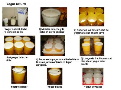 Yogur natural