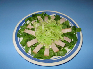 Ensalada verde con lomito